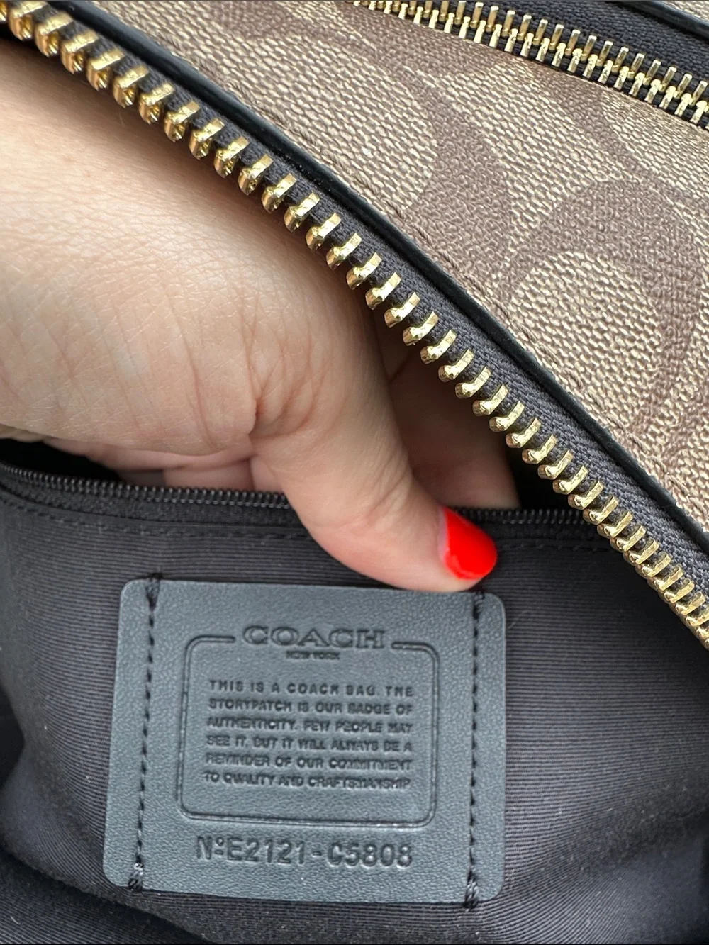 Coach Court Backpack in Color-block Signature Canvas C5808